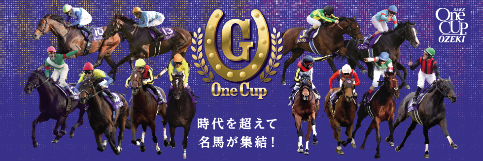 G-ONECUP